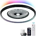 HUMHOLD 24" Bladeless Ceiling Fan with RGB Light Remote, Smart LED Ceiling Fans with Voice/App Control, Modern Low Profile Dimmable Light Ceiling Fan for Bedroom Living Room