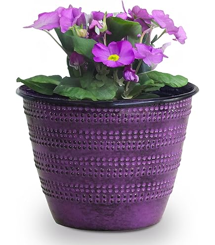 値下げ我谷風盆 約31.5cm×約21cm×約3.5cm 値下げ我谷風盆 約31.5cm×約