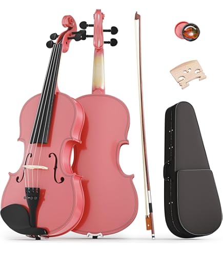 Amazon.com: Palatino VN-350-1/16 Campus Violin Outfit, 1/16
