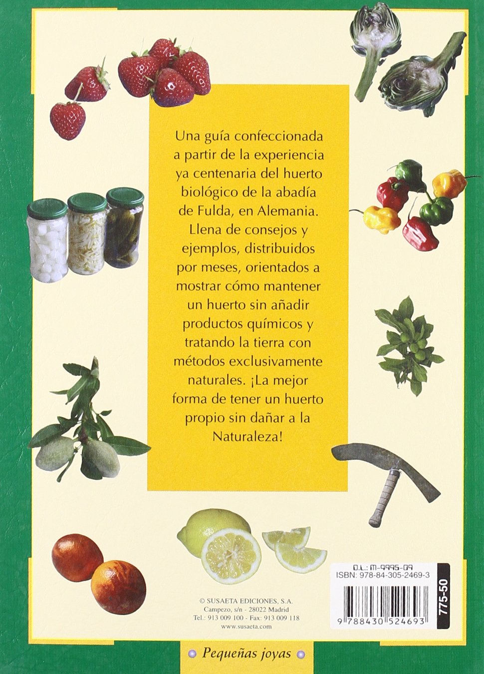 Huerto Ecologico Del Convento (Pequeñas Joyas): Amazon.es: Susaeta ...