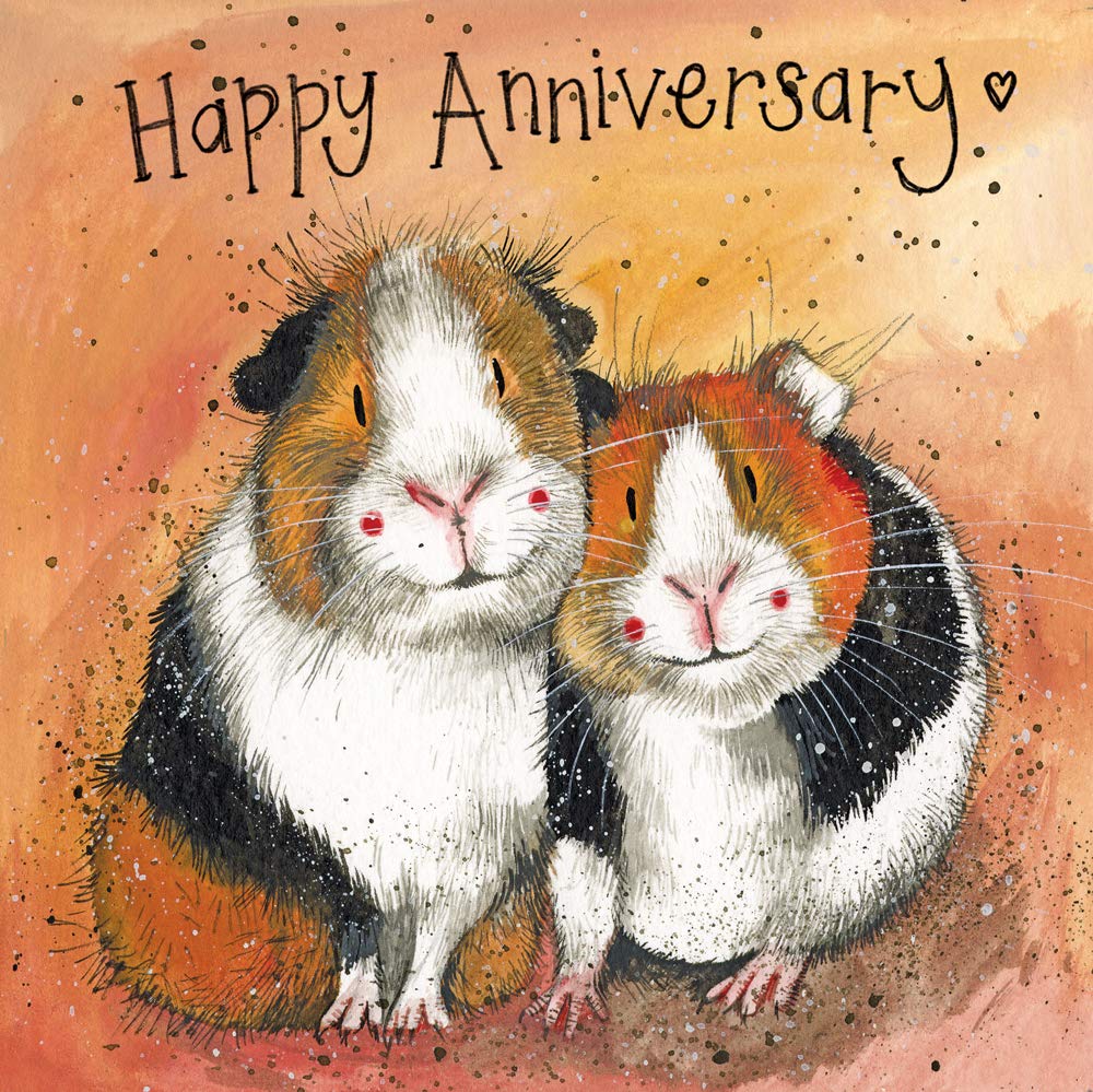 ALEX CLARK Happy Anniversary Guinea Pig Card