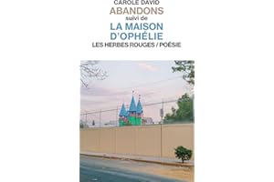 Abandons suivi de La maison d'Ophélie (French Edition)