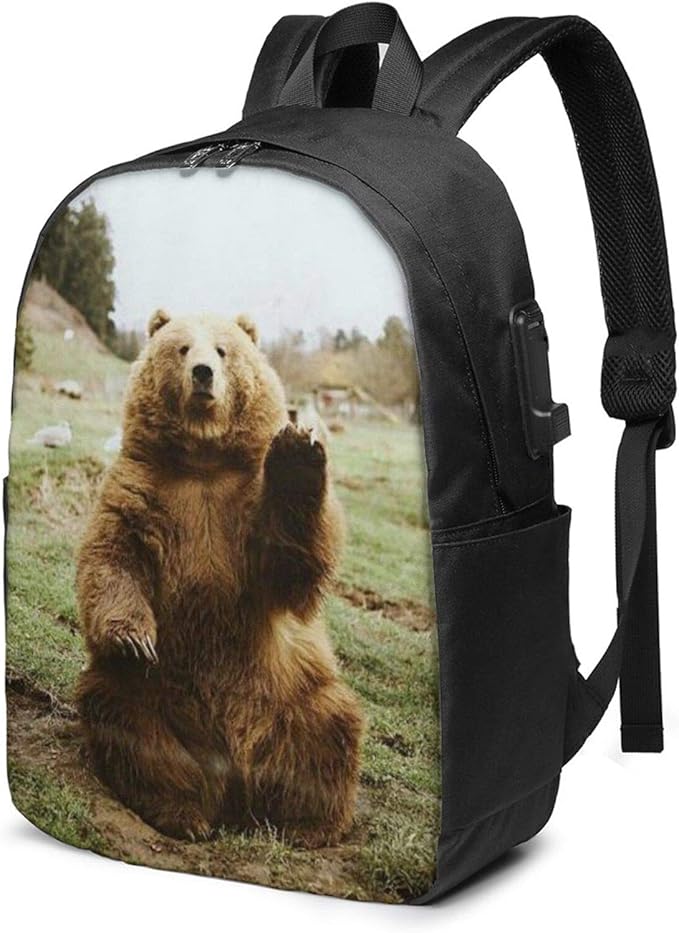 Usb Backpack Hi Bear Sit On The Lawnusb Backpack Fit 17 Inch Laptops