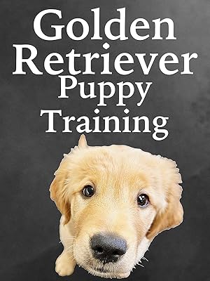 Amazon Com Golden Retriever Puppy Training Ken Steepe Wendy Hunter Ken Steepe