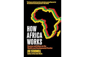 How Africa Works: Success and Failure on the World's Last Developmental Frontier