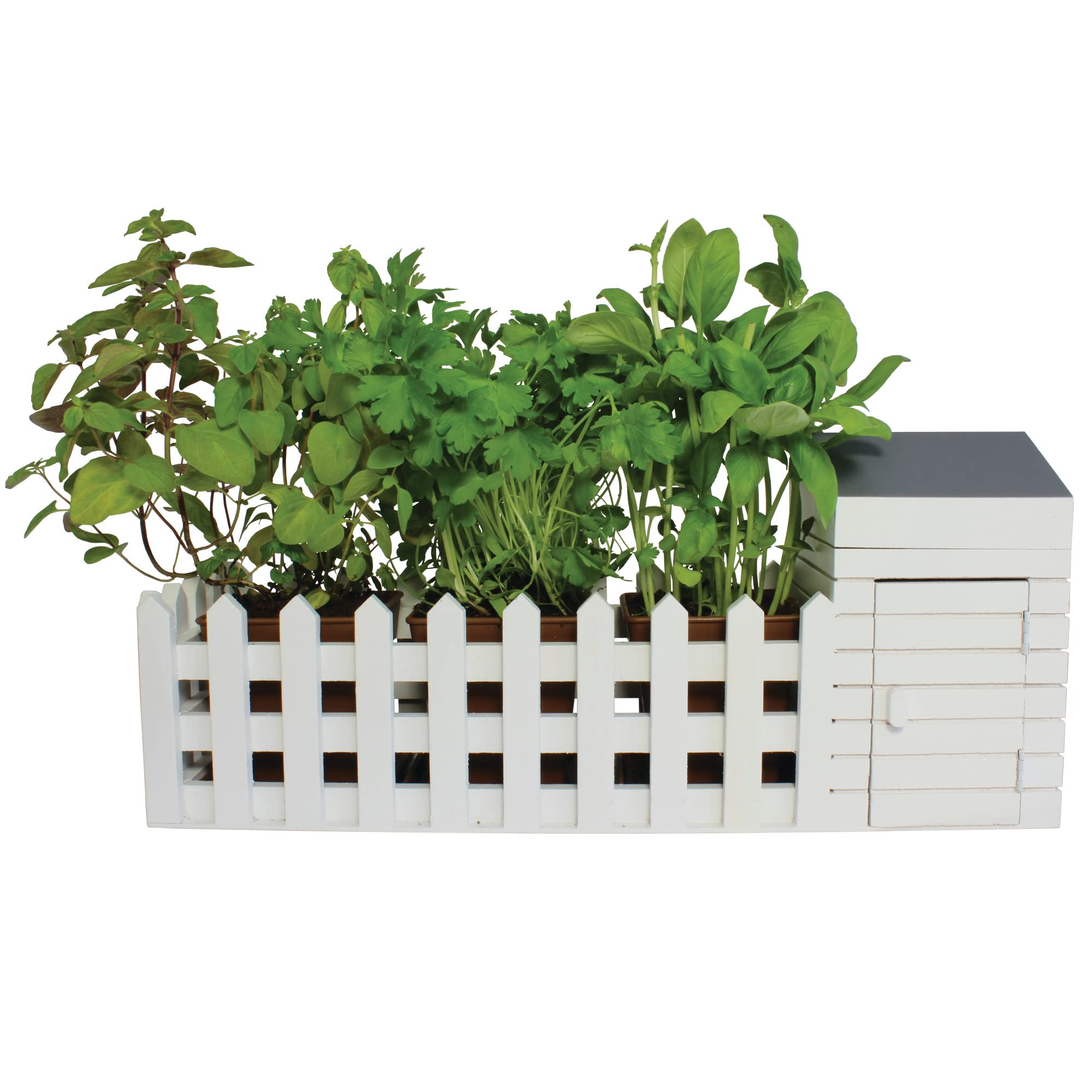 Oliphant Indoor Allotment Gift Set Herb Garden