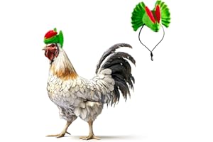 ENRICHOICE Hats for Chickens Cute Dinosaur Pet Hat - Hilarious Costume for Chicken Hats & Bearded Dragon Costume, Must-Have Pet Accessory for Parties & Photos