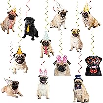 Jolie Carte D'Anniversaire Pour Elle – « Carlins And Kisses