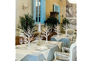 PABIPABI Lighted Birch Tree with LED Lights Christmas Decorations, Small Artificial Bonsai Tree Lights with Timer, LED Tabletop Trees for Home Wedding Decor