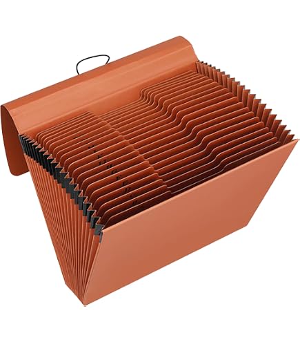Amazon.com : Blue Summit Supplies A-Z Accordion File Organizer, 21