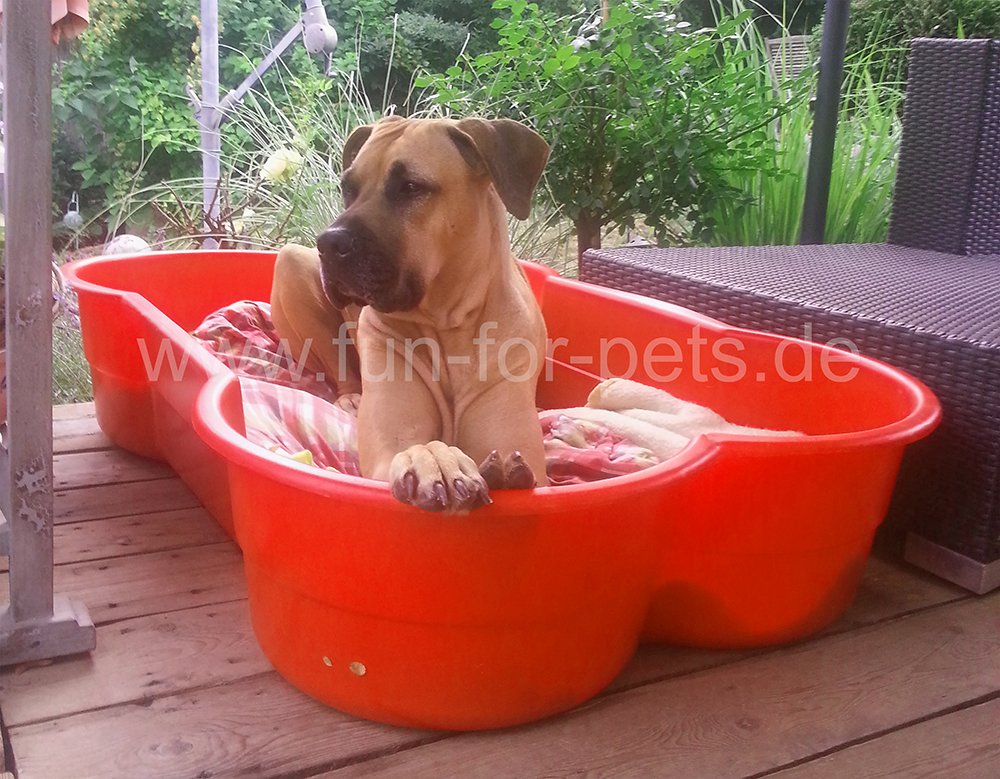 Piscine Pour Chien En Forme Dos Lit De Chien Petit Panier