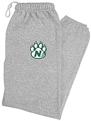 LOGOVISION Northwest Missouri State University