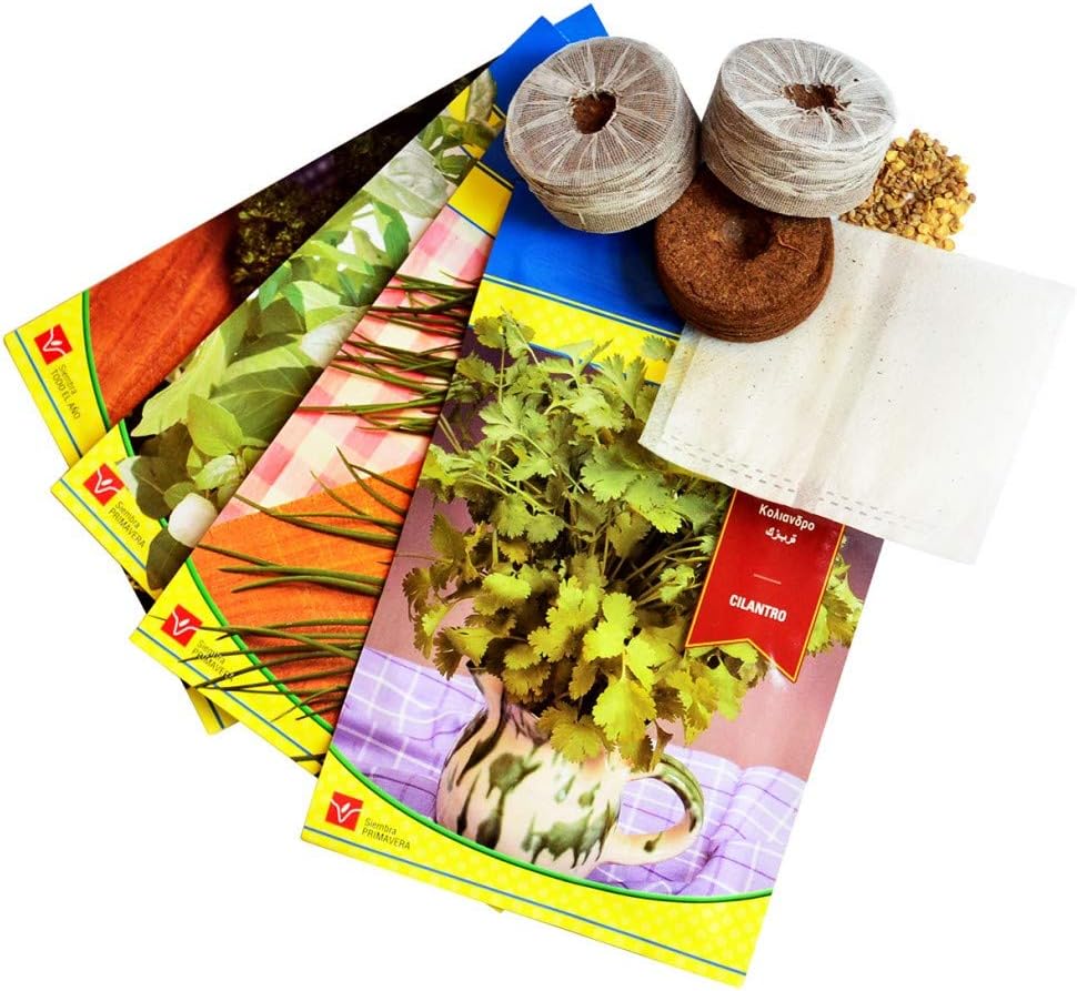 Citysens- Kit Huerto Urbano Vertical con autorriego Inteligente ...