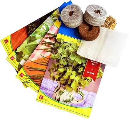 Citysens- Kit Huerto Urbano Vertical con autorriego Inteligente ...