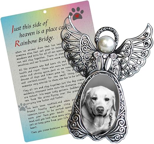 amazon pet memorial
