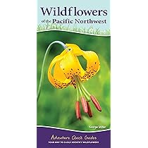 洋書 Wild Flowers of the Pacific Northwest 71gk49XXbQL._UF1000,1000_QL80_.jpg
