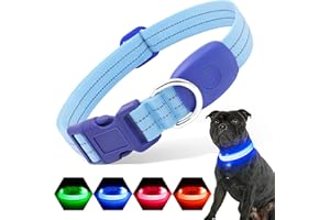 PZRLit LED Light Up Dog Collars USB Rechargeable, Adjustable Glow Dark Lighted Dog Collar for Small Medium Large Dogs, Pet Do
