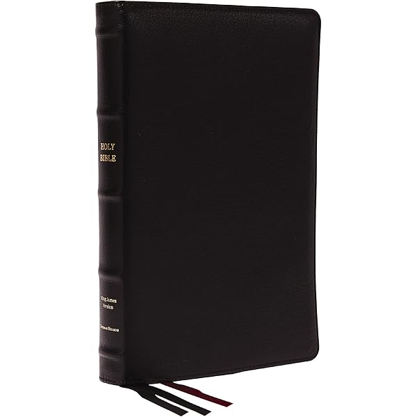 KJV Holy Bible: Large Print Verse-by-Verse with Cross References