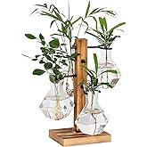 PAG-Mass Planter Terrariums Kit, Desktop Hydroponics Air Planter Holder, Plant Propagation Station with 4 Glass Vase and Solid Wood Stand, Gardening Gift for Women and Plant Lovers