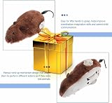 Aisszhao 4 Pcs Wind Up Mouse Toys Kids Plush Prank Animal Favors Gift view 3