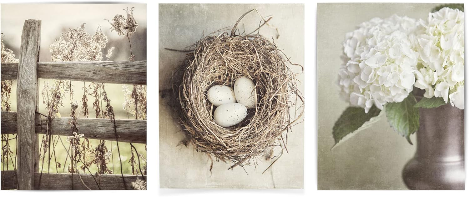 Photographs - Lisa Russo Fine Art - Neutral Beige Shabby Chic Wall Art Prints - Not Framed - Set of 3 (3 8x10 Prints Only)