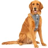 Kurgo Enhanced Strength Tru-Fit Dog Car Harness - Pet Travel Safety Harness - Crash Test Certified Fit - Five Point Adjustmen