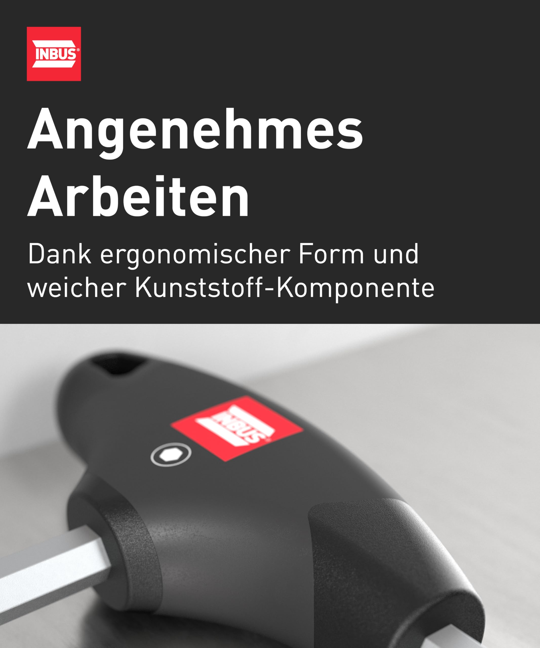 INBUS® 70129 T-Griff Schraubendreher Set 8tlg, 2–10mm, mit HybridTouch — Made in Germany 5