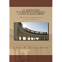 La sinodalidad en las conferencias episcopales y en la Reunión de los Obispos de la Iglesia de América (ROIA) (Spanish… book cover