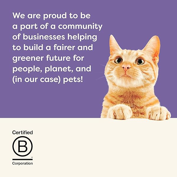 APPLAWS NATURAL WET KITTEN FOOD, LIMITED AND NATURAL INGREDIENTS, HIGH PROTEIN WITH NO ARTIFICIAL ADDITIVES, KITTEN VARIETY IN BROTH (16 X 2.47OZ CANS)