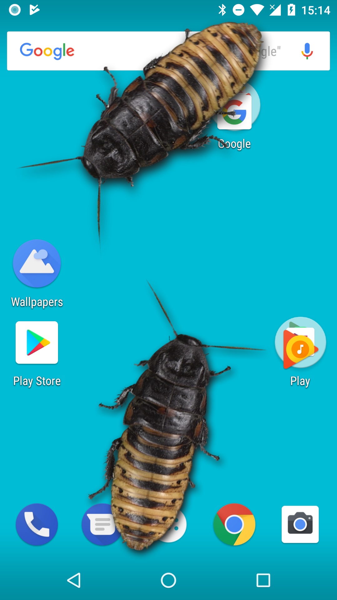 Cucaracha Subiendo A Un Carro Meme - Elhorizonte