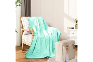 RHEIN HOME Flannel Electric Throw Blanket with Gift Bag 50"×60" Soft Heated Blanket Machine Washable ETL Certification（Blue）