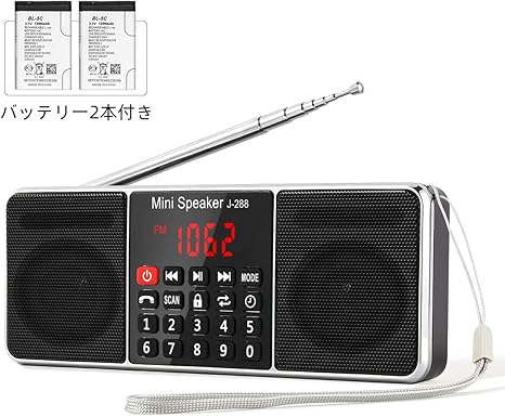 fm radio speaker
