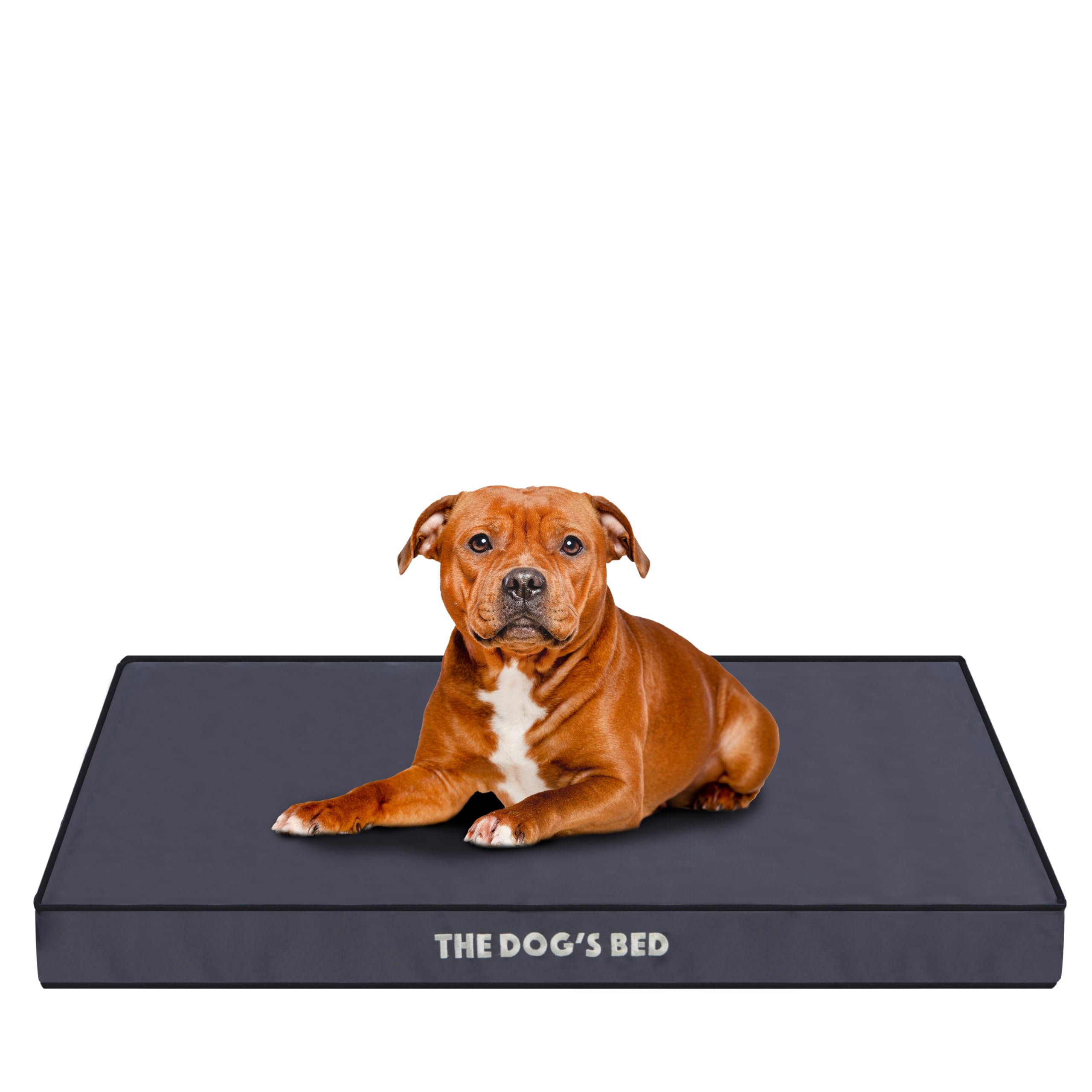 The Dog’s Bed Orthopaedic Standard Foam Dog Bed Mattress, Calming Surface – CertiPUR-Certified Foam, Oxford Fabric, Grey with Black Trim, Large