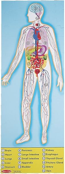 melissa and doug human body