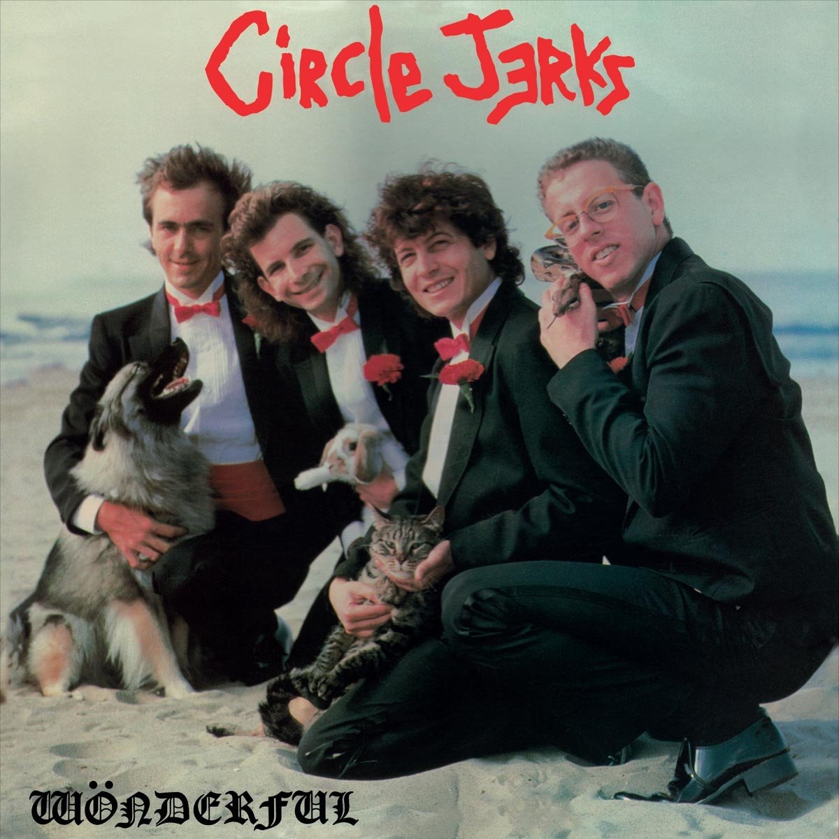 Wonderful Circle Jerks Amazon.de MusikCDs & Vinyl