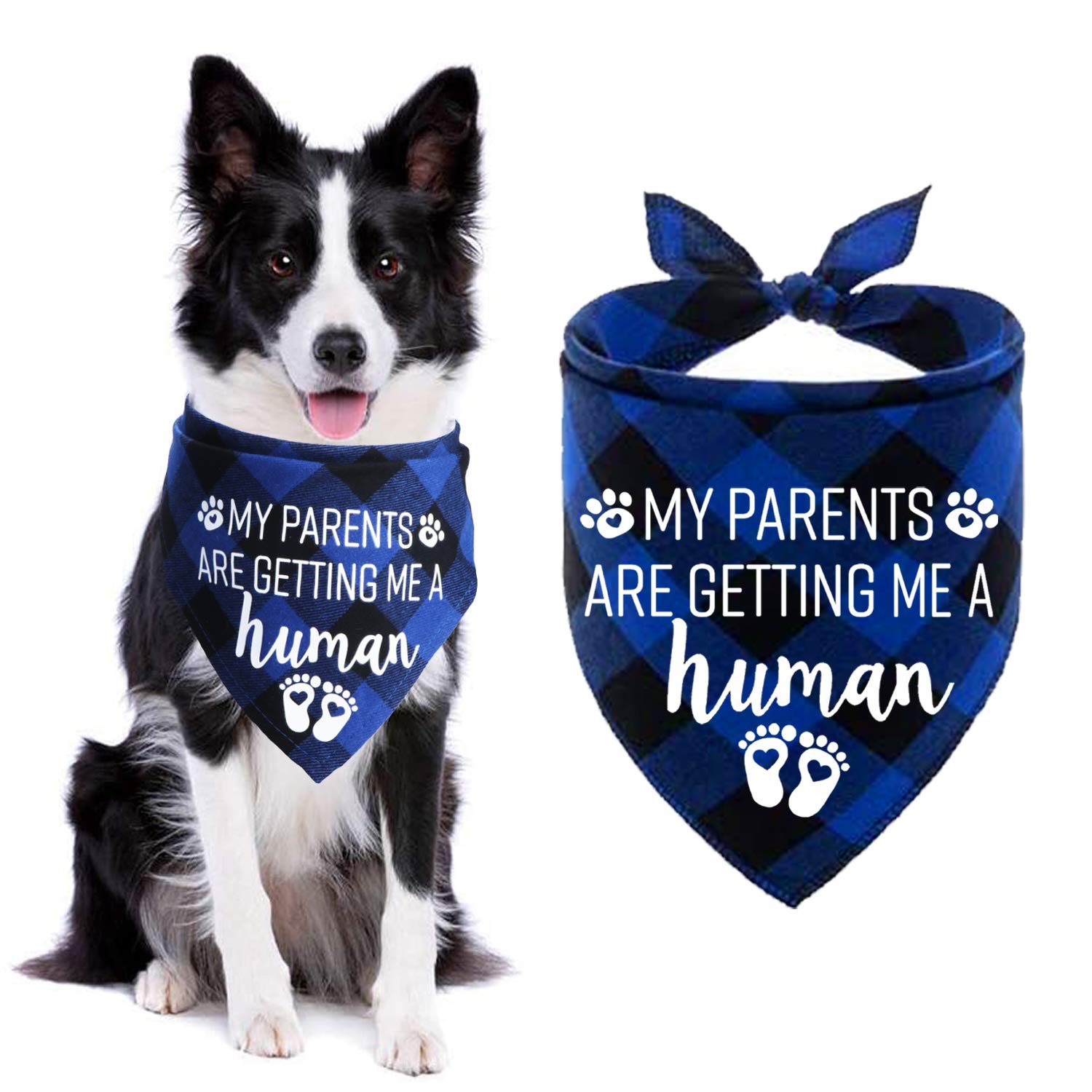 STMK My Parents are Getting Me A Human Plaid Dog Bandana, Pregnancy Announcement Plaid Dogs Bandanas, Baby Announcement Dogs Bandanas Gender Reveal Photo Prop for Dog Puppy (Blue)