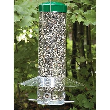 Birds Choice Np436 Hanging 20 In Classic Feeder With Baffle