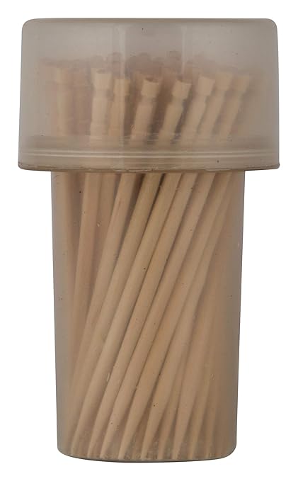 100 Pcs of Bamboo Wooden Toothpick Sticks