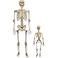 Life Size Human Skeleton Halloween Decoration Value 2 Pack- Adult 5' 4" & Child 2' - Articulated Movable Limbs, Weather Resistant Indoor/Outdoor- Upgrade Your Fall Graveyard Haunted House Party Props