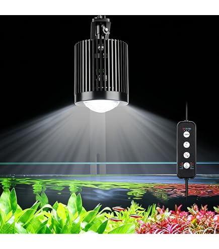 Amazon.com: Meki Acua Week Aqua Z250Pro RGB - Proyector de