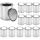 LDHHYH 12 Pack Empty Paint Cans, 0.84 Pint Size Silver Tin Cans with Lids, Multipurpose Metal Can Paint Bucket for Arts Crafts Painting