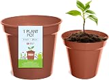 Whitefurze G04022 20cm Garden Pot Terracotta Polypropylene 4 L