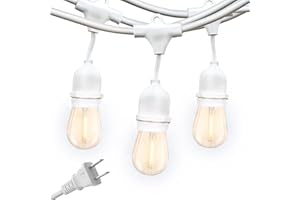 Brightech Ambience Pro Waterproof LED Outdoor String Lights, 48 Ft, Hanging, Dimmable Vintage Edison Bulbs, 15 Bulbs, 2W