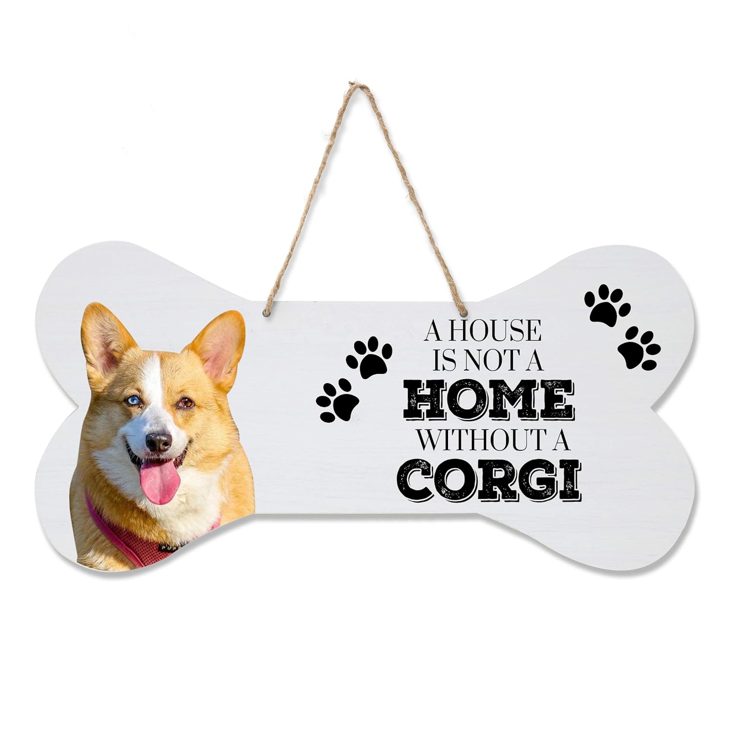 8 corgi house