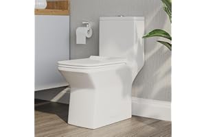 DEER VALLEY DeerValley Elongated One Piece Toilet, DV-1F0072 Square Compact Toilets for Bathrooms, Dual Flush 1/1.6 GPF and MaP 1000g, 12'' Rough-In Chair Height 16.93" Ceramic White Toilet With Soft Close Seat