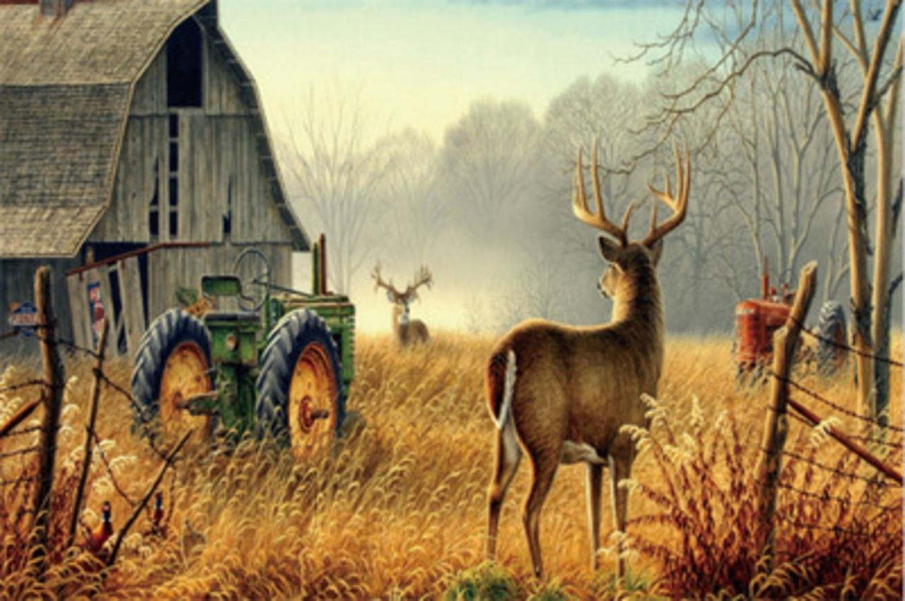 Best deer area rugs for living room