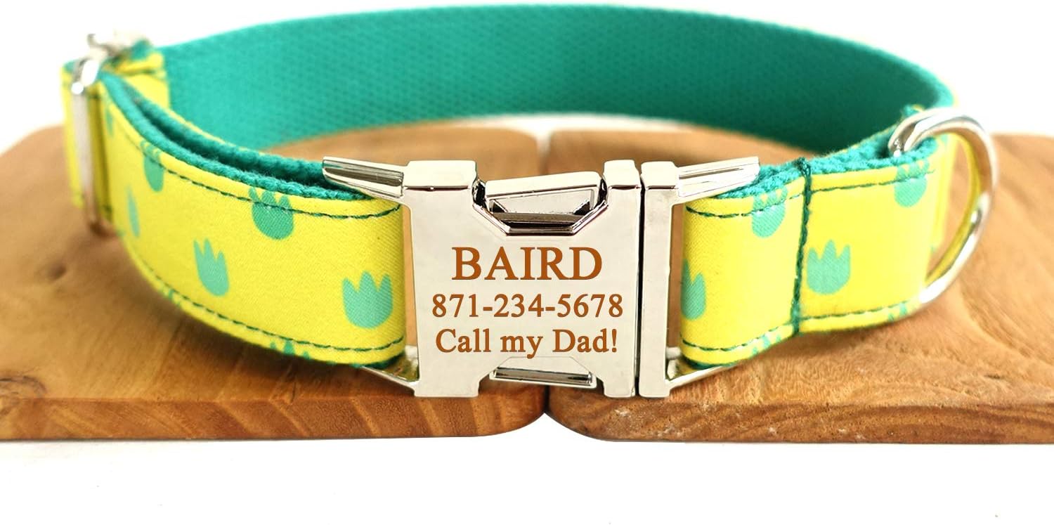 Smartyou Personalized Dog Collar, Engraved Metal Buckle Collar for Dog Name & Phone Number with Fully Adjustable Sizes XS/S/M/L/XL