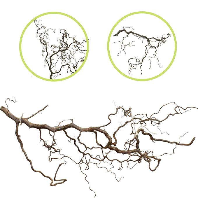 Langer, aufregend verschnörkelter Dekozweig aus Korkenzieherhasel zum Aufhängen oder für Bodenvase ca. 80cm - 100cm | Die Äst