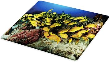 Amazon Com Ambesonne Sea Life Cutting Board Tropical Fish On A
