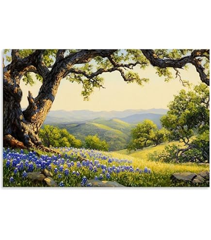Amazon.com: Texas Sunset Rustic Countryside Landscape Painting